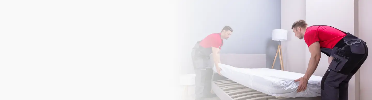 Furniture Moving
