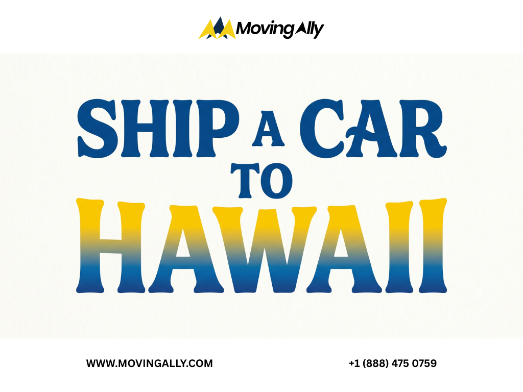 Man looking at a car being loaded onto a ship for transport to Hawaii